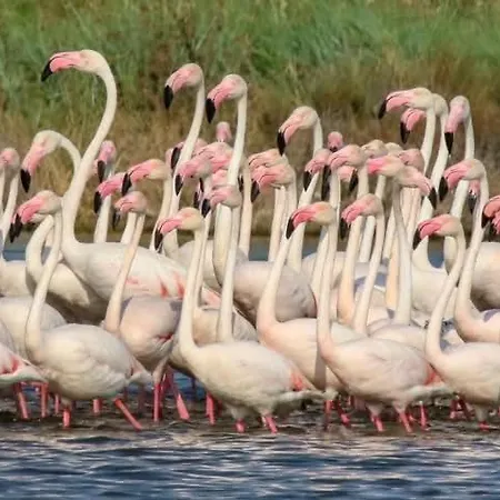 Casa Salina 1 Rum i privatbostad Cervia